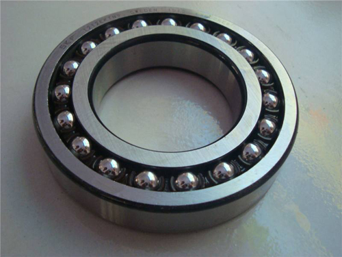 Customized ball bearing 6305ZZ C3